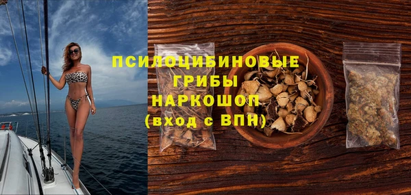 тгк Алзамай