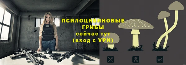 ГАЛЛЮЦИНОГЕННЫЕ ГРИБЫ Алексеевка