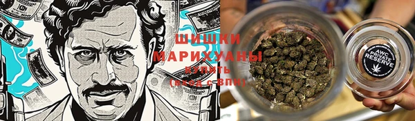 ГАЛЛЮЦИНОГЕННЫЕ ГРИБЫ Алексеевка