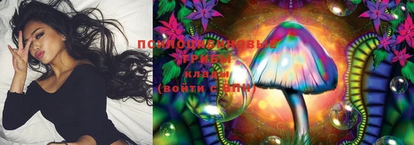 молекула духа Алексин