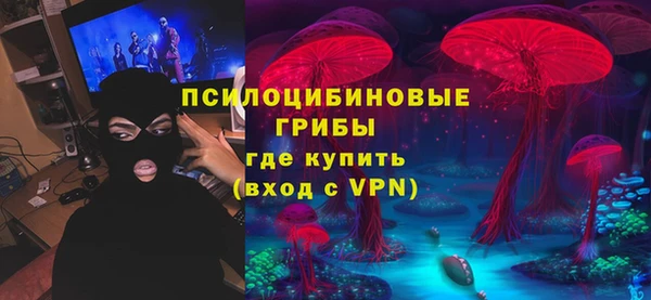 тгк Алзамай