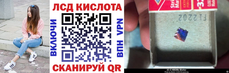 Купить закладки  Александровское  Марки NBOMe 1,8мг 