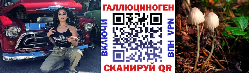 Псилоцибиновые грибы Psilocybe  Купить где  Александровское 