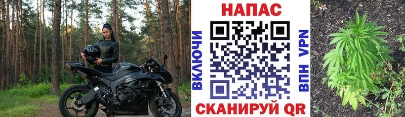 Купить закладки  Александровское  Канабис OG Kush 